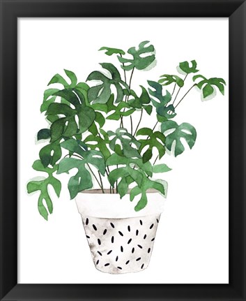 Framed Plant in a Pot IV Print