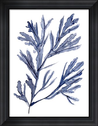Framed Seaweed Under Water I Print
