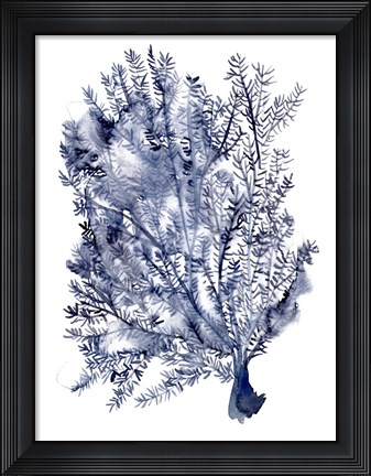 Framed Seaweed Under Water II Print