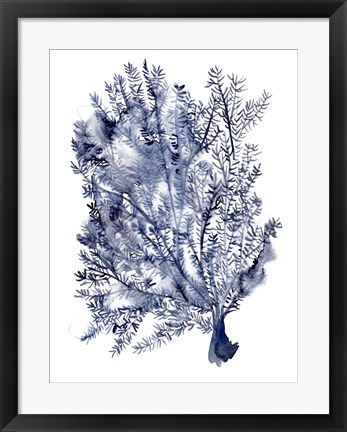 Framed Seaweed Under Water II Print