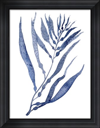 Framed Seaweed Under Water III Print