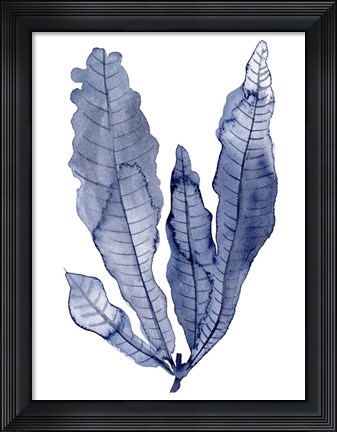 Framed Seaweed Under Water IV Print
