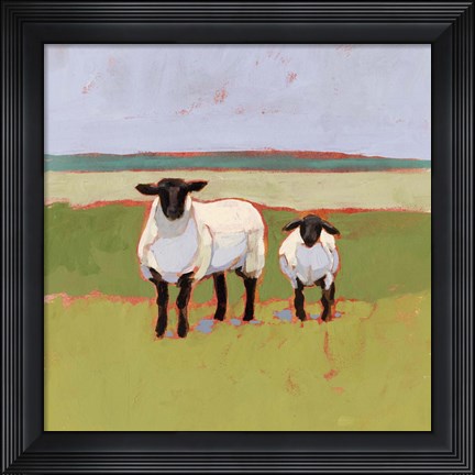 Framed Suffolk Sheep I Print