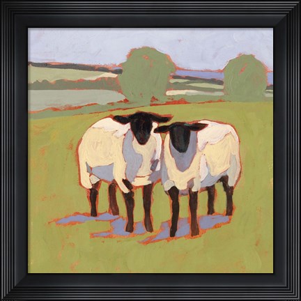 Framed Suffolk Sheep III Print