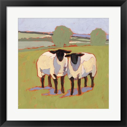 Framed Suffolk Sheep III Print