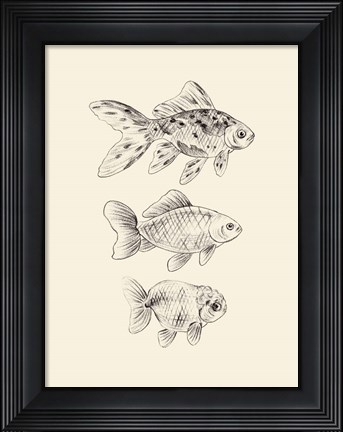 Framed Goldfish I Print