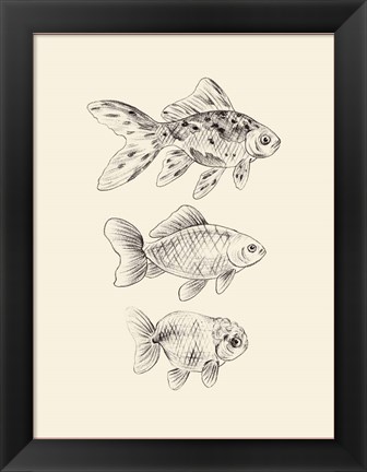 Framed Goldfish I Print