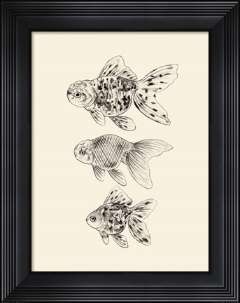 Framed Goldfish II Print