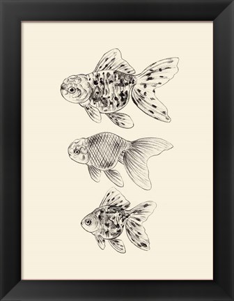 Framed Goldfish II Print