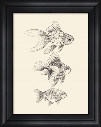 Framed Goldfish III Print