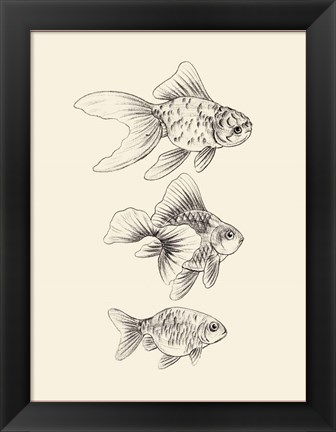 Framed Goldfish III Print