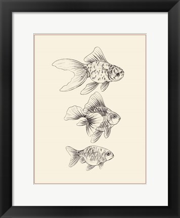 Framed Goldfish III Print
