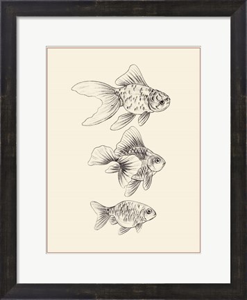 Framed Goldfish III Print