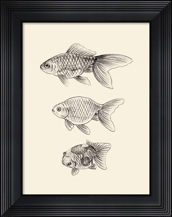 Framed Goldfish IV Print