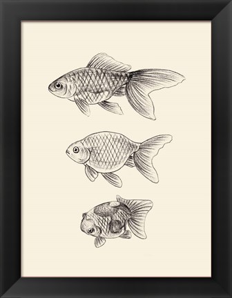 Framed Goldfish IV Print