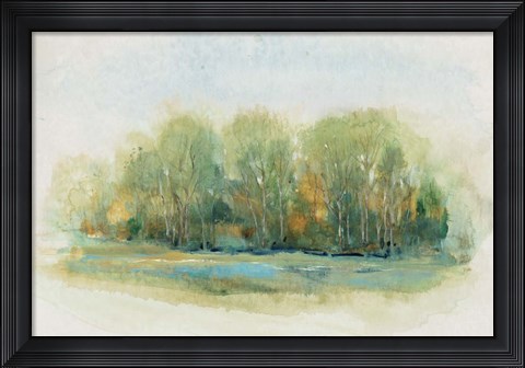 Framed Forest Vignette I Print