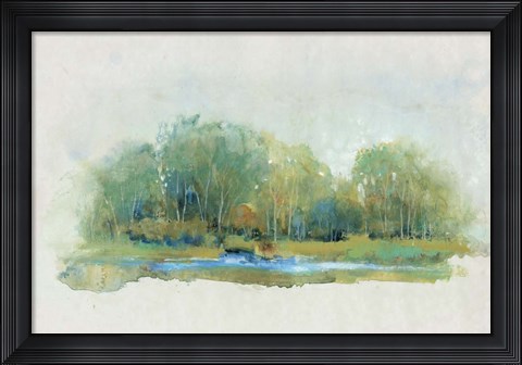 Framed Forest Vignette II Print