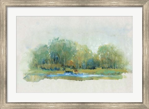 Framed Forest Vignette II Print