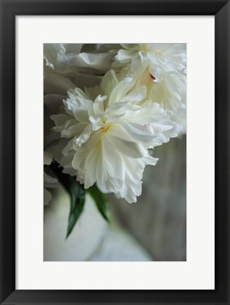 Framed White Peonies In Cream Pitcher 1 Print