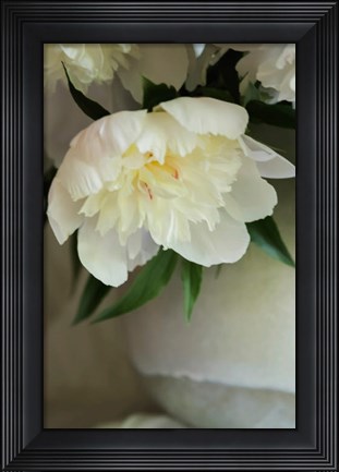 Framed White Peonies In Cream Pitcher 3 Print