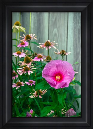 Framed Summer Garden Flowers 2 Print
