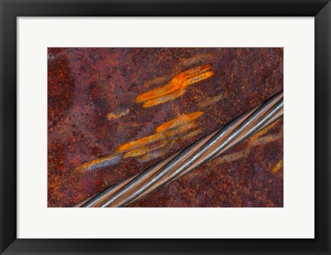 Framed Rust Abstract Print