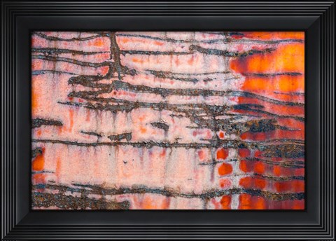 Framed Details Of Rust And Paint On Metal 3 Print