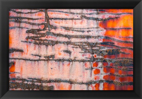 Framed Details Of Rust And Paint On Metal 3 Print