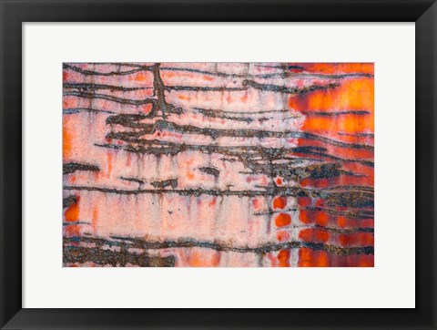 Framed Details Of Rust And Paint On Metal 3 Print