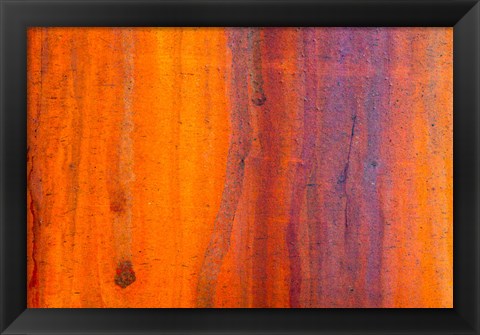 Framed Details Of Rust And Paint On Metal 5 Print