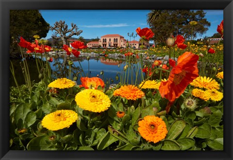 Framed Flowers And Blue Baths, Government Gardens, Rotorua, North Island, New Zealand Print