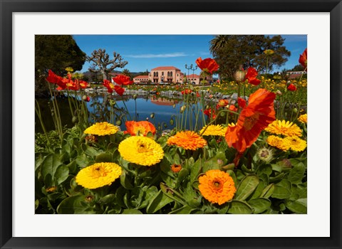 Framed Flowers And Blue Baths, Government Gardens, Rotorua, North Island, New Zealand Print