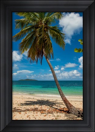 Framed Cramer Park Beach, St Croix, US Virgin Islands Print