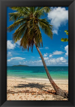 Framed Cramer Park Beach, St Croix, US Virgin Islands Print