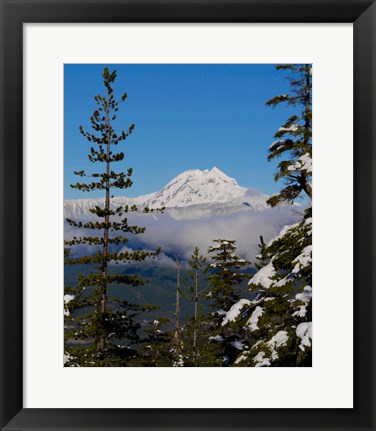 Framed Mount Garibaldi From The Chief Overlook At The Summit Of The Sea To Sky Gondola Print