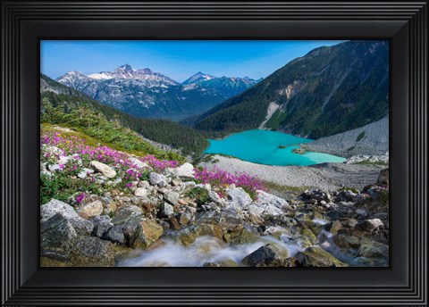Framed British Columbia, Meltwater Stream Flows Past Wildflowers Into Upper Joffre Lake Print