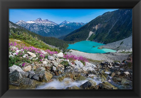 Framed British Columbia, Meltwater Stream Flows Past Wildflowers Into Upper Joffre Lake Print