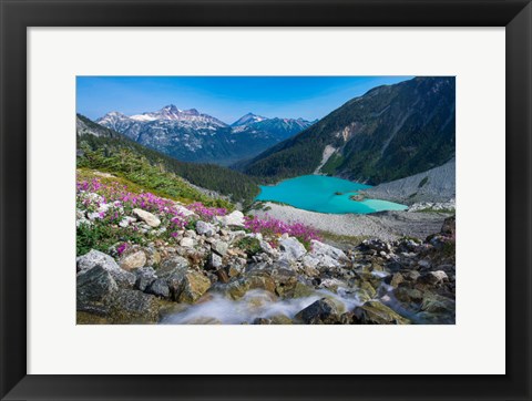 Framed British Columbia, Meltwater Stream Flows Past Wildflowers Into Upper Joffre Lake Print