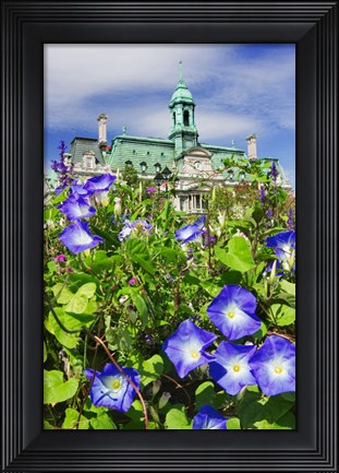 Framed USA, Montreal View Of City Hall Building Behind Flowers Print