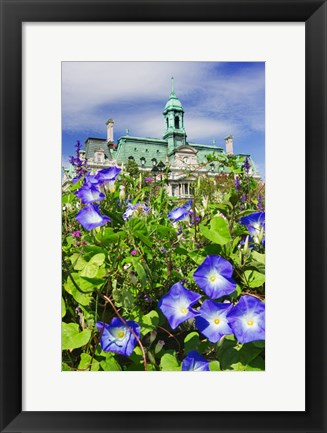 Framed USA, Montreal View Of City Hall Building Behind Flowers Print