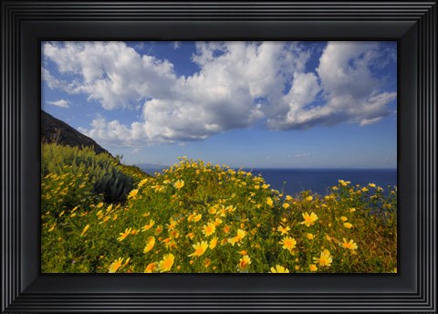 Framed Europe, Greece, Santorini Wildflowers And Ocean Landscape Print