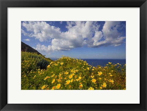 Framed Europe, Greece, Santorini Wildflowers And Ocean Landscape Print