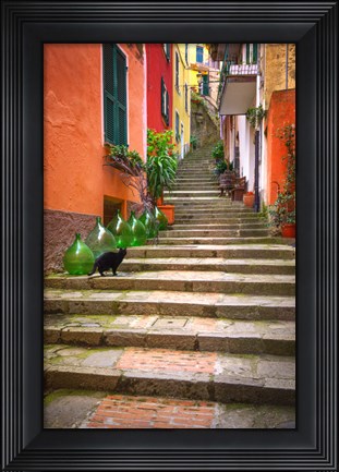 Framed Europe, Italy, Monterosso Cat On Long Stairway Print
