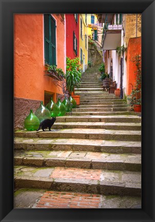 Framed Europe, Italy, Monterosso Cat On Long Stairway Print