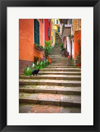 Framed Europe, Italy, Monterosso Cat On Long Stairway Print