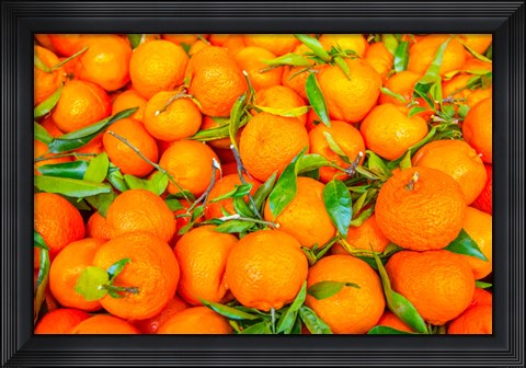 Framed Oranges Displayed In Market In Shepherd&#39;s Bush, Londo Print