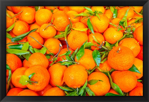 Framed Oranges Displayed In Market In Shepherd&#39;s Bush, Londo Print