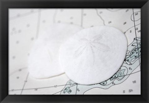 Framed Sand Dollars On Nautical Chart Print