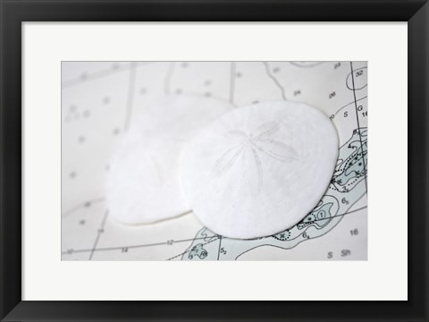 Framed Sand Dollars On Nautical Chart Print