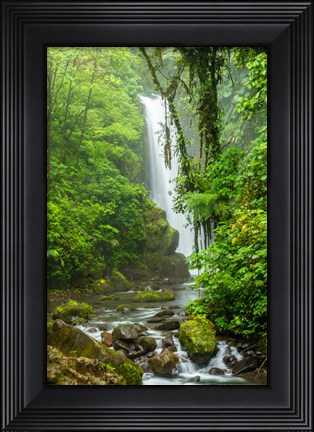 Framed Costa Rica, La Paz Waterfall Garden Rainforest Waterfall And Stream Print